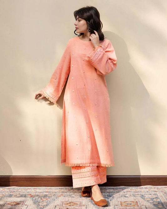 Peach Delight | Dhanak 2-Piece